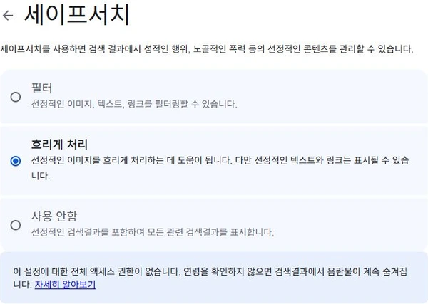 Google 세이프서치 필터·흐리게 처리 선택과 전체 액세스 권한 없음 안내