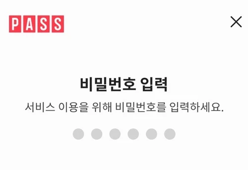 공식 로그인 지원 가이드의 PASS 서비스 비밀번호 입력 화면 예시