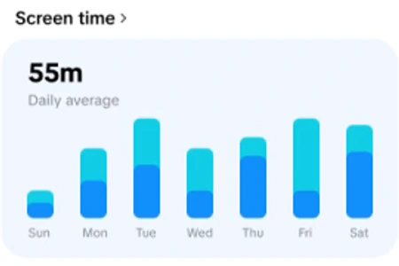 TikTok Time and Well-being의 Screen time 사용시간 요약 그래프