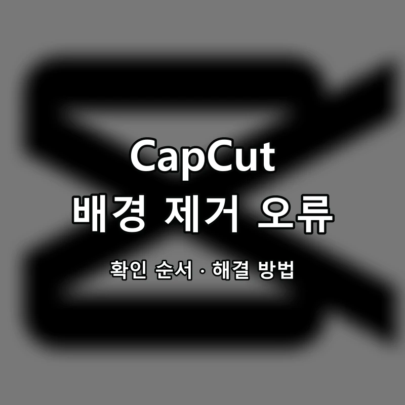 CapCut 배경 제거 오류 대표 이미지