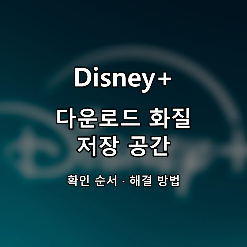 Disney+ 다운로드 화질·저장 공간 대표 이미지