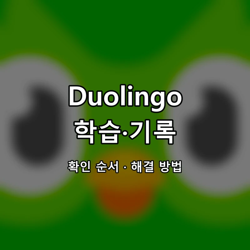 Duolingo 학습·기록 대표 이미지