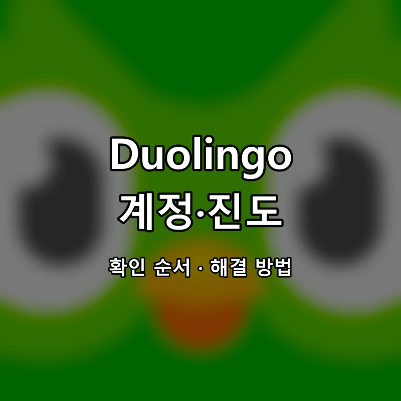 Duolingo 계정·진도 대표 이미지
