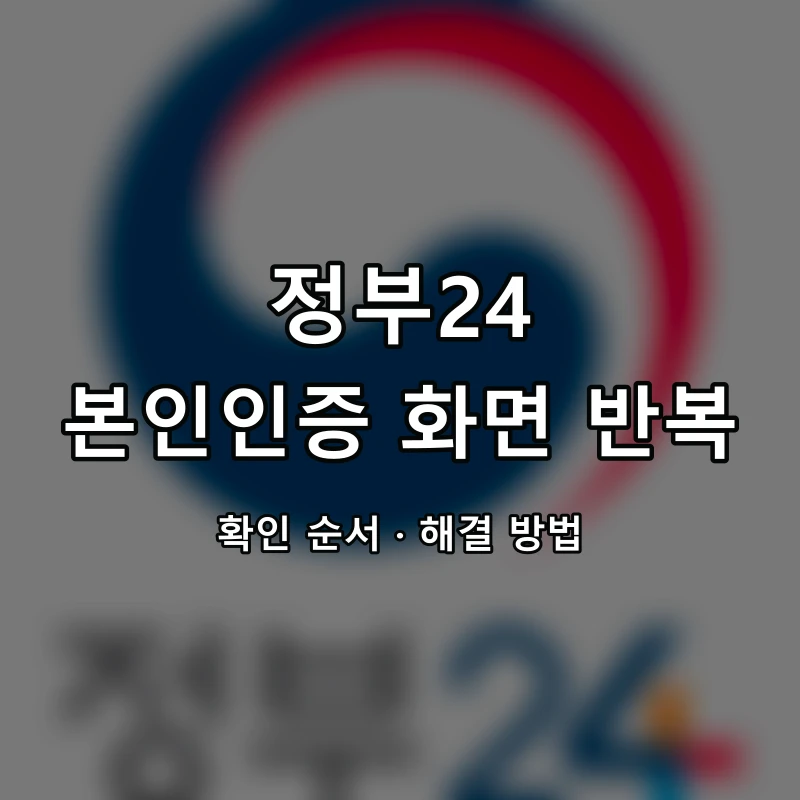 정부24 본인인증 화면 반복 대표 이미지
