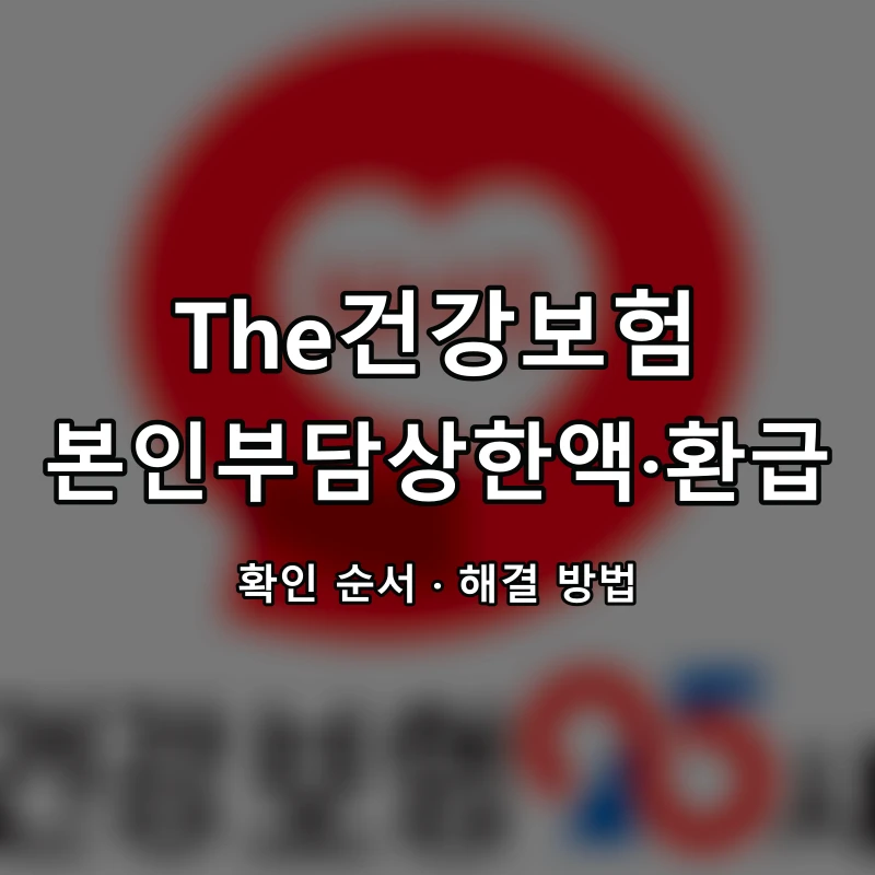 The건강보험 본인부담상한액·환급 대표 이미지