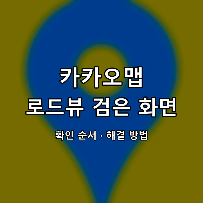 카카오맵 로드뷰 검은 화면 대표 이미지