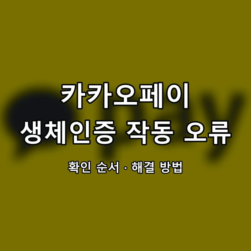 카카오페이 생체인증 작동 오류 대표 이미지
