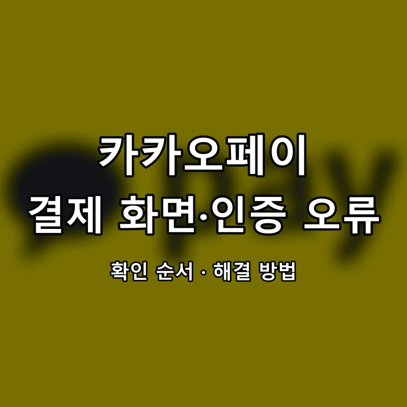 카카오페이 결제 화면·인증 오류 대표 이미지