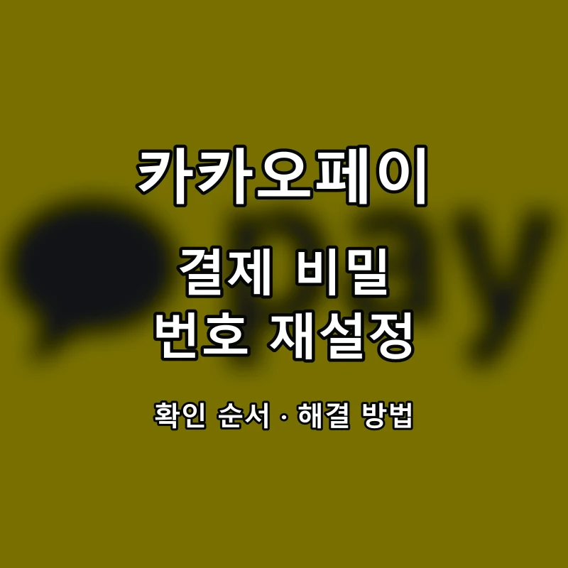 카카오페이 결제 비밀번호 재설정 대표 이미지