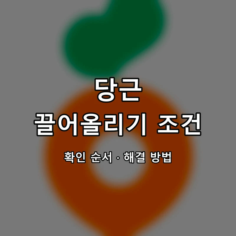 당근 끌어올리기 조건 대표 이미지
