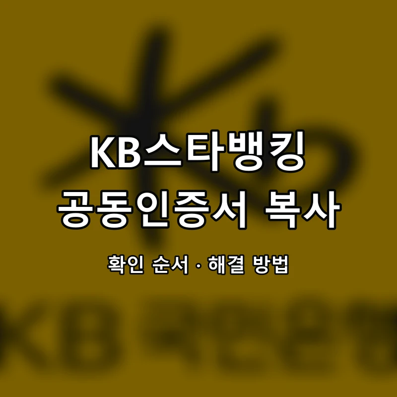 KB스타뱅킹 공동인증서 복사 대표 이미지