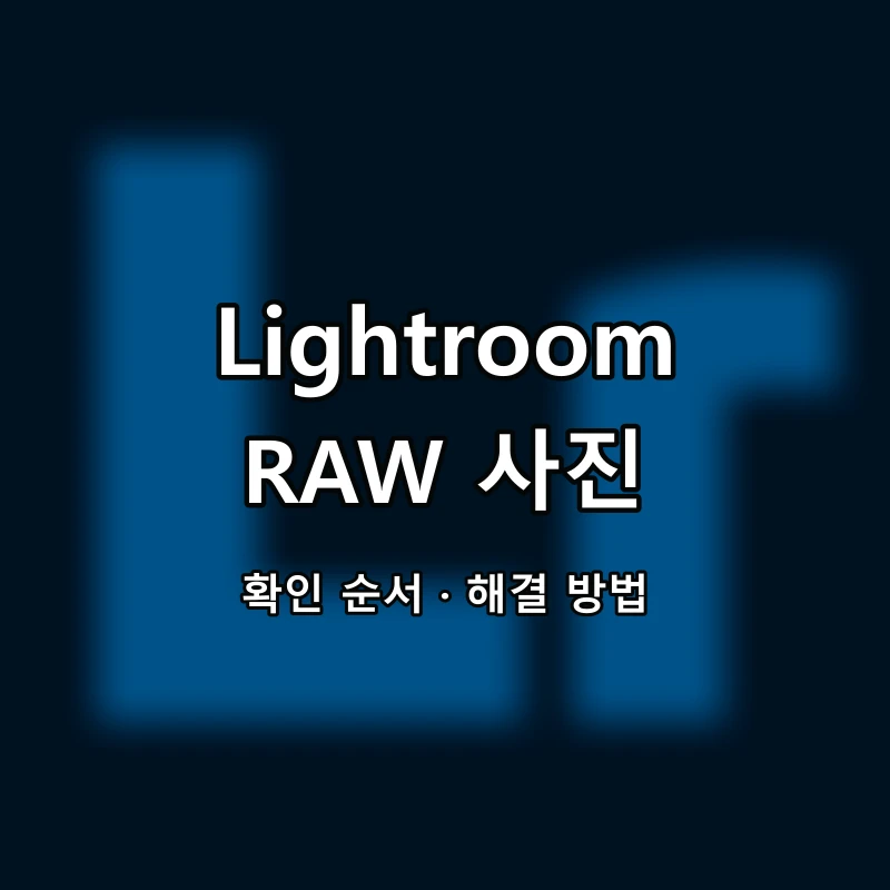 Adobe Lightroom RAW 사진 대표 이미지