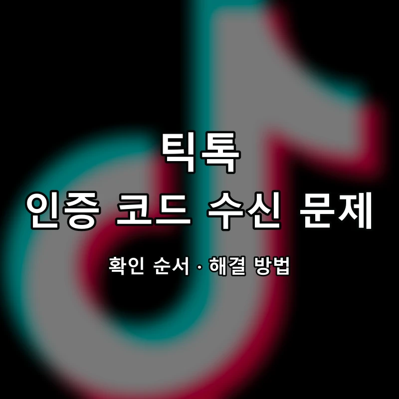 틱톡 인증 코드 수신 문제 대표 이미지