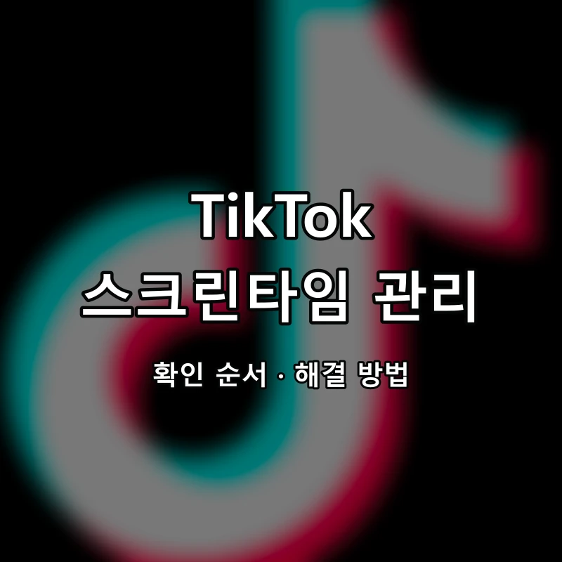 TikTok 스크린타임 관리 대표 이미지