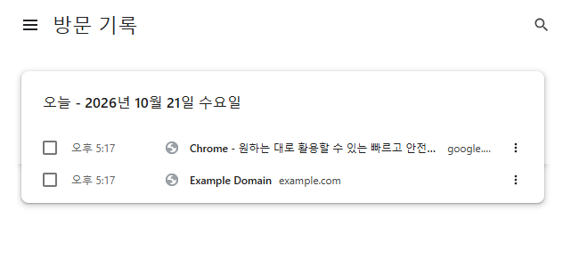 Chrome 방문 기록에서 날짜별로 방문한 페이지와 사이트 주소를 확인하는 현재 한국어 화면 예시