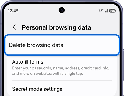 삼성 인터넷의 Personal browsing data 화면에서 Delete browsing data 항목이 파란색으로 강조된 공식 예시