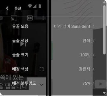 PC YouTube의 자막 옵션에 글꼴 모음·색상·크기100퍼센트·배경 색상과 불투명도가 표시된 실제 화면